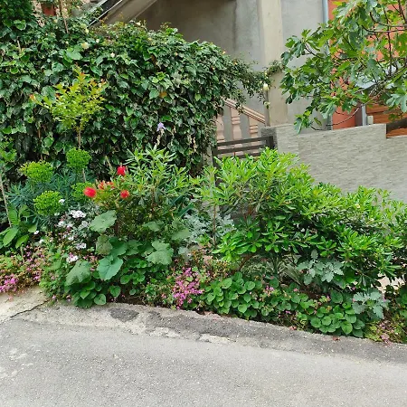 Studio Apartman Rea Котор Екстер'єр фото