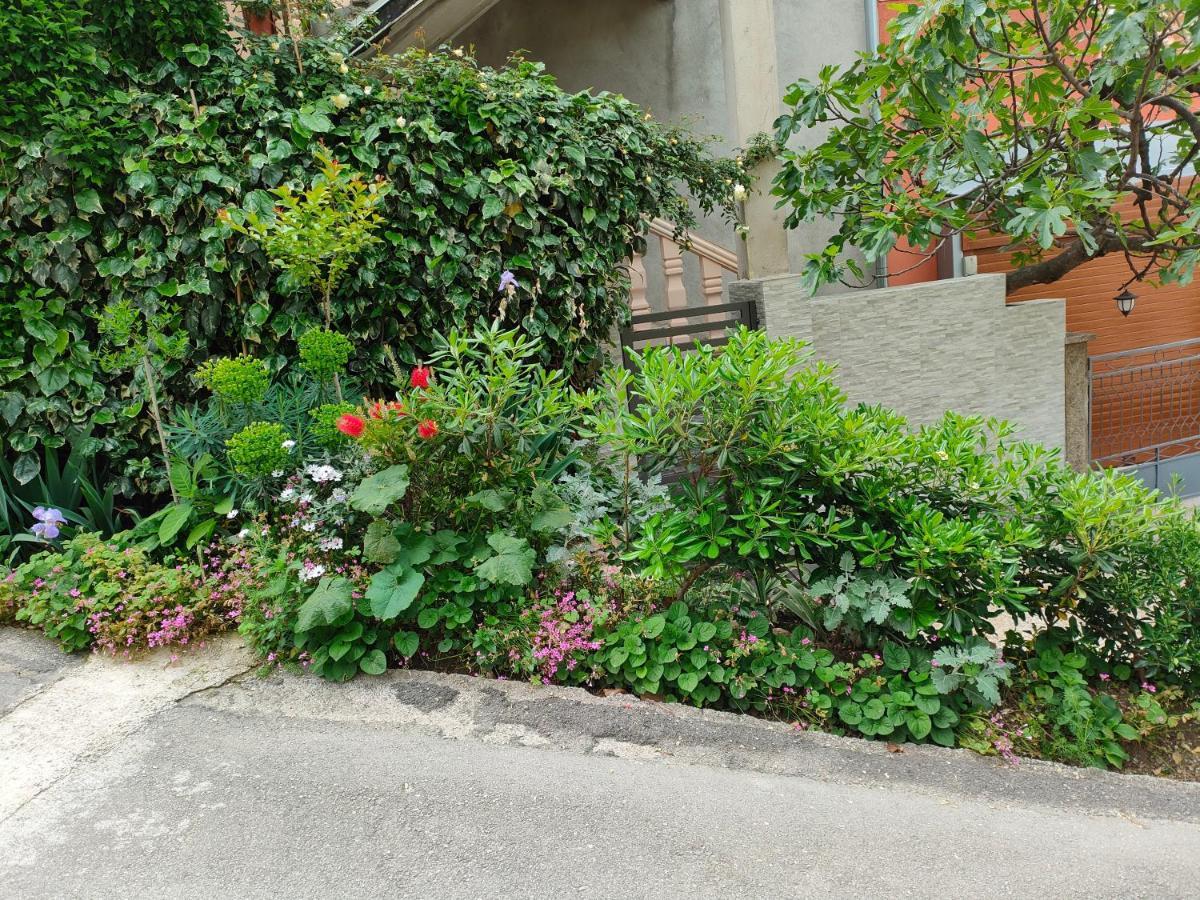 Rea Appartement