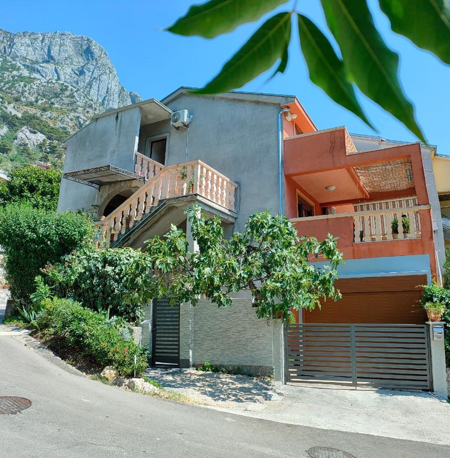 Rea Kotor